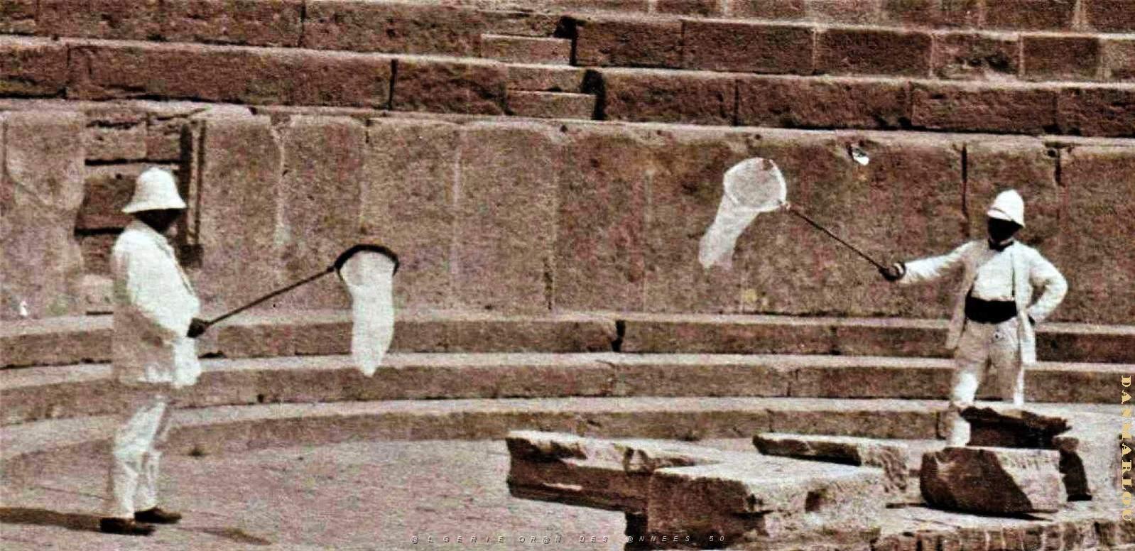2698- Timgad - Theatre Romain - Chasse aux Papillons2 - 1910.jpg